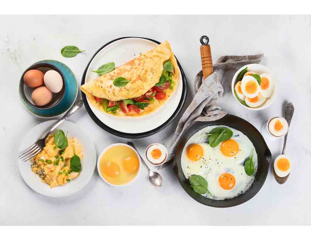 Egg and Egg Cookery